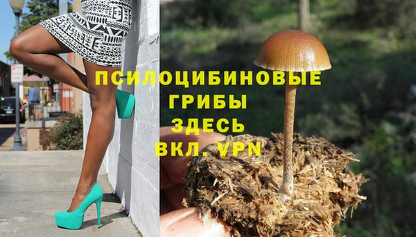 амф Вязьма