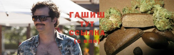 сатива Вяземский