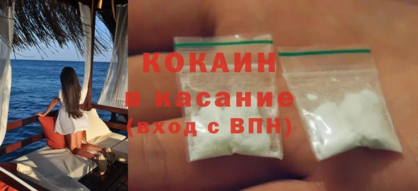 сатива Вяземский