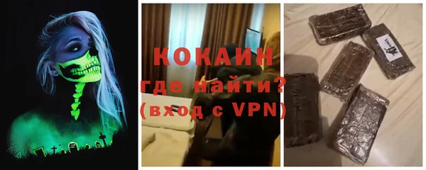 сатива Вяземский