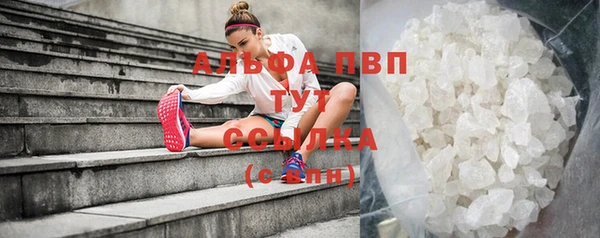 амф Вязьма