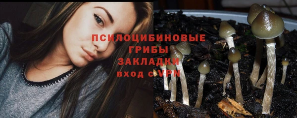 мяу мяу мука Вязники