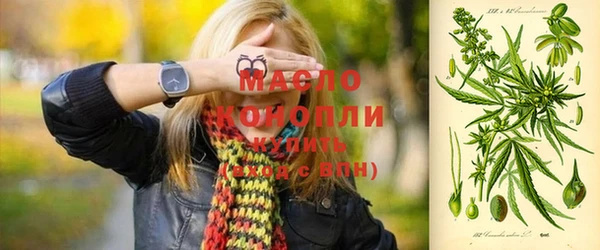 сатива Вяземский