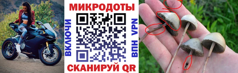 Галлюциногенные грибы ЛСД  Купить  Сосенский 